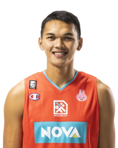 Player image