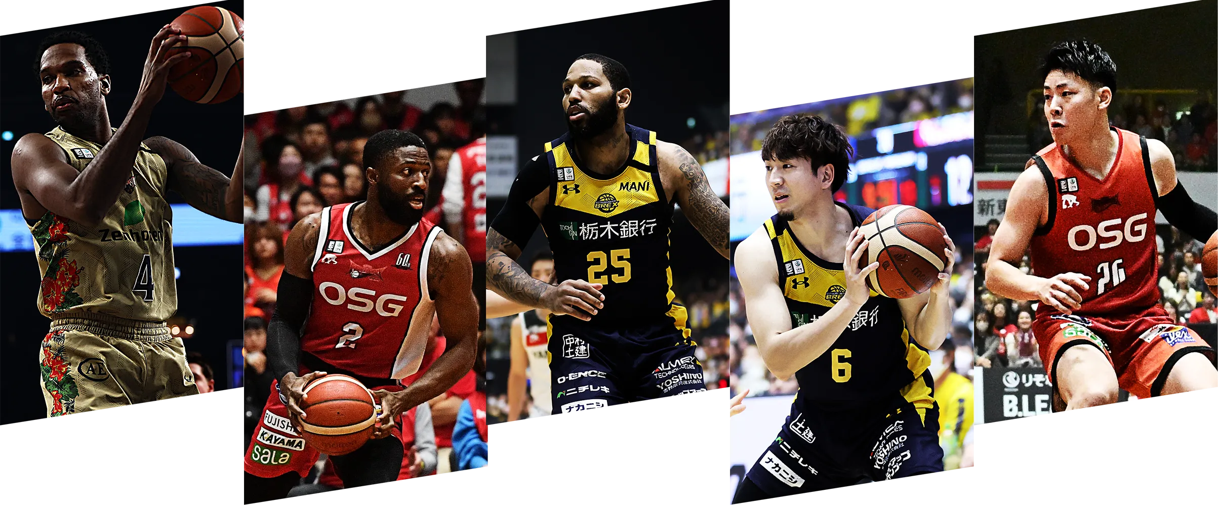 TOP10・新人賞の選手写真