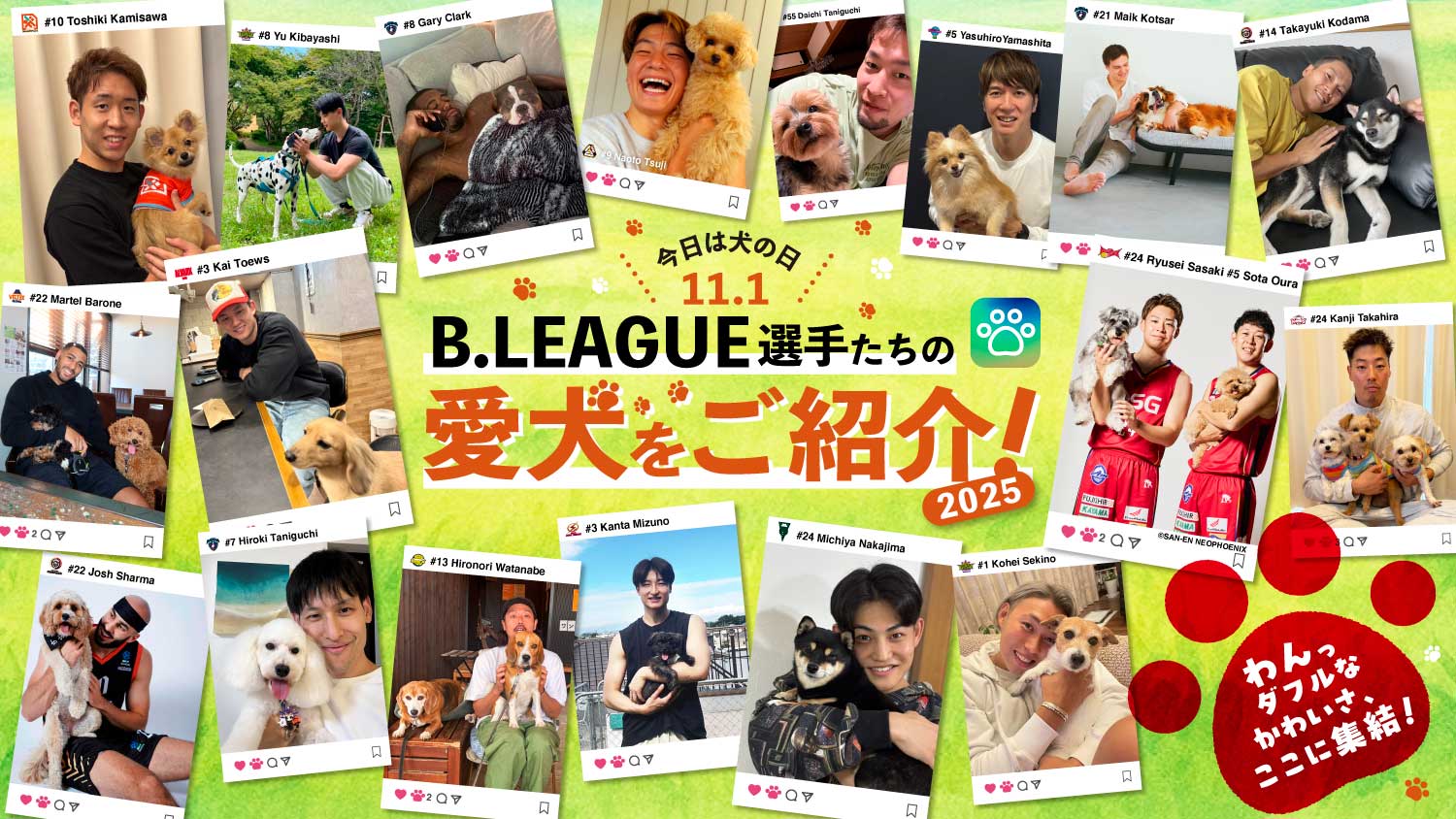 【全37匹登場】B.LEAGUEの愛犬家選手とわんちゃんたちを全力でご紹介【犬の日記念2025】